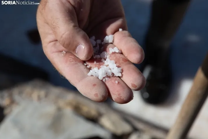 Jornada de la Sal en Salinas de Medinaceli 2025