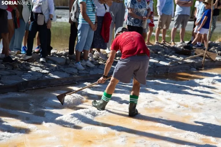Jornada de la Sal en Salinas de Medinaceli 2025