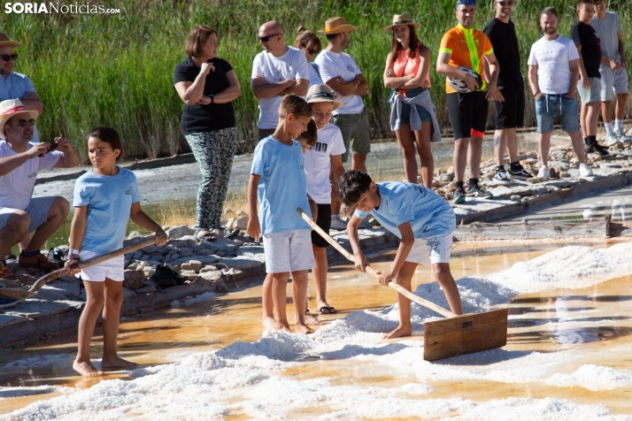 Jornada de la Sal en Salinas de Medinaceli 2025