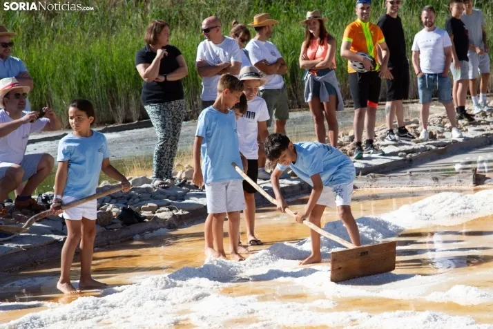 Jornada de la Sal en Salinas de Medinaceli 2025