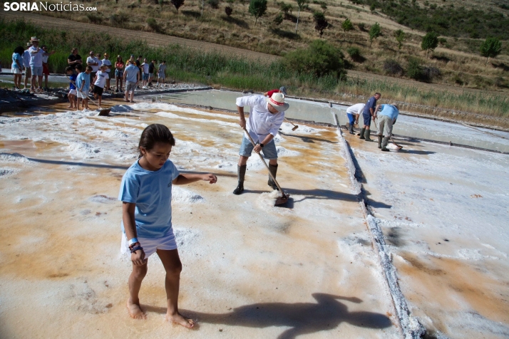Jornada de la Sal en Salinas de Medinaceli 2025