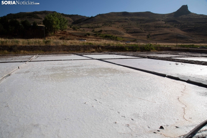 Jornada de la Sal en Salinas de Medinaceli 2025