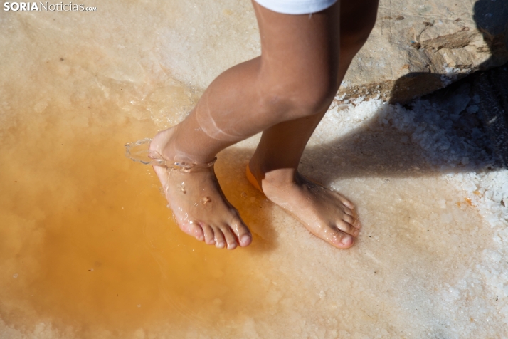 Jornada de la Sal en Salinas de Medinaceli 2025