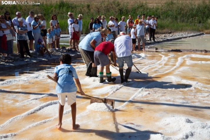 Jornada de la Sal en Salinas de Medinaceli 2025