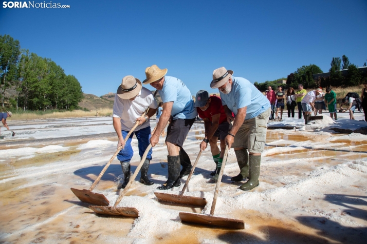 Jornada de la Sal en Salinas de Medinaceli 2025