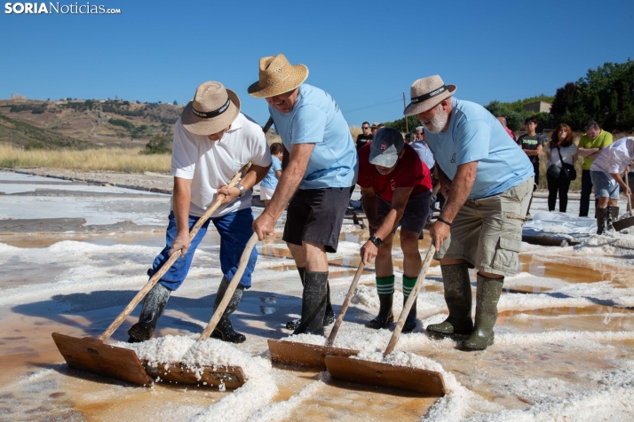 Jornada de la Sal en Salinas de Medinaceli 2025