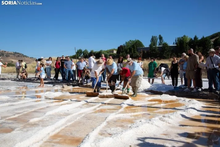 Jornada de la Sal en Salinas de Medinaceli 2025