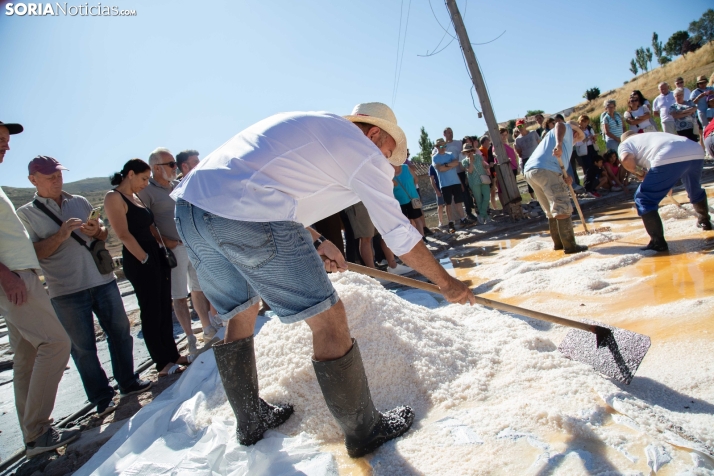 Jornada de la Sal en Salinas de Medinaceli 2025
