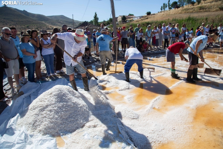 Jornada de la Sal en Salinas de Medinaceli 2025