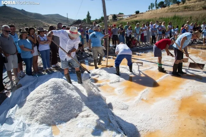 Jornada de la Sal en Salinas de Medinaceli 2025