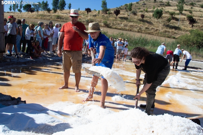 Jornada de la Sal en Salinas de Medinaceli 2025