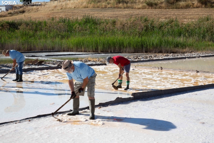Jornada de la Sal en Salinas de Medinaceli 2025