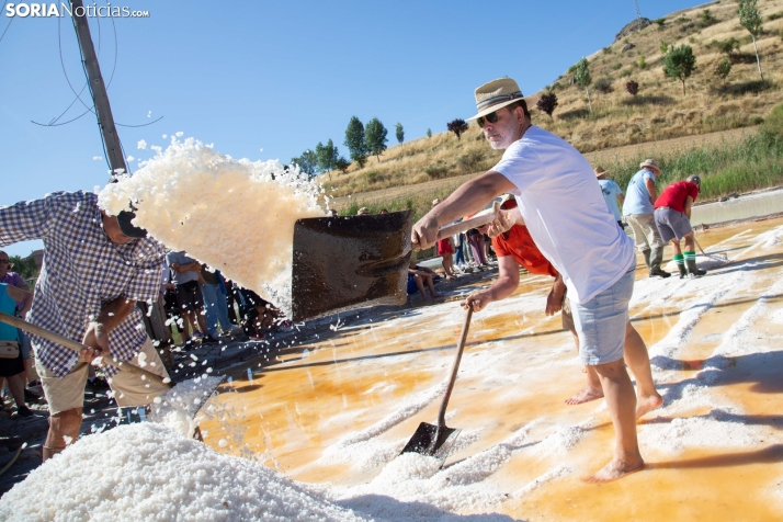 Jornada de la Sal en Salinas de Medinaceli 2025