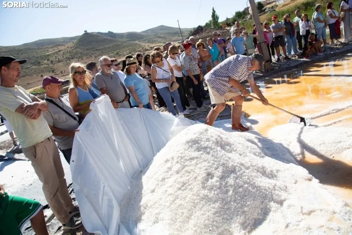 Jornada de la Sal en Salinas de Medinaceli 2025