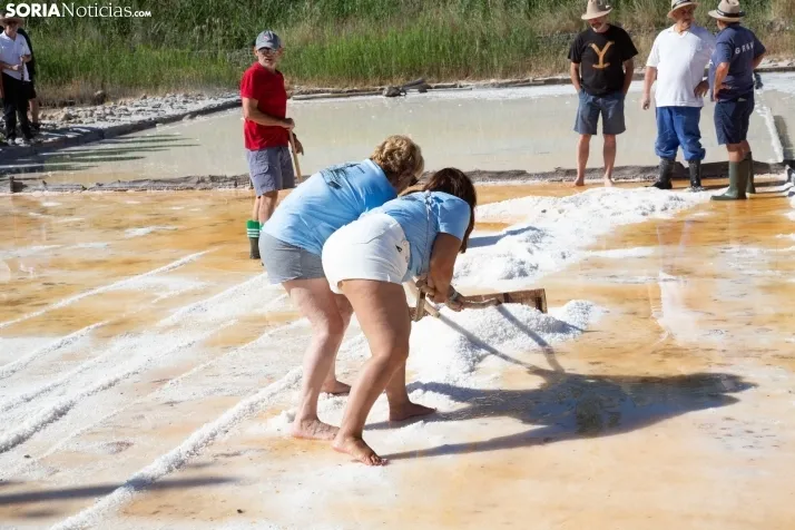 Jornada de la Sal en Salinas de Medinaceli 2025