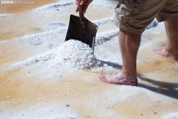 Jornada de la Sal en Salinas de Medinaceli 2025