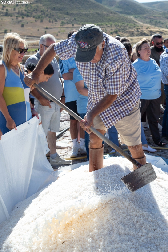 Jornada de la Sal en Salinas de Medinaceli 2025
