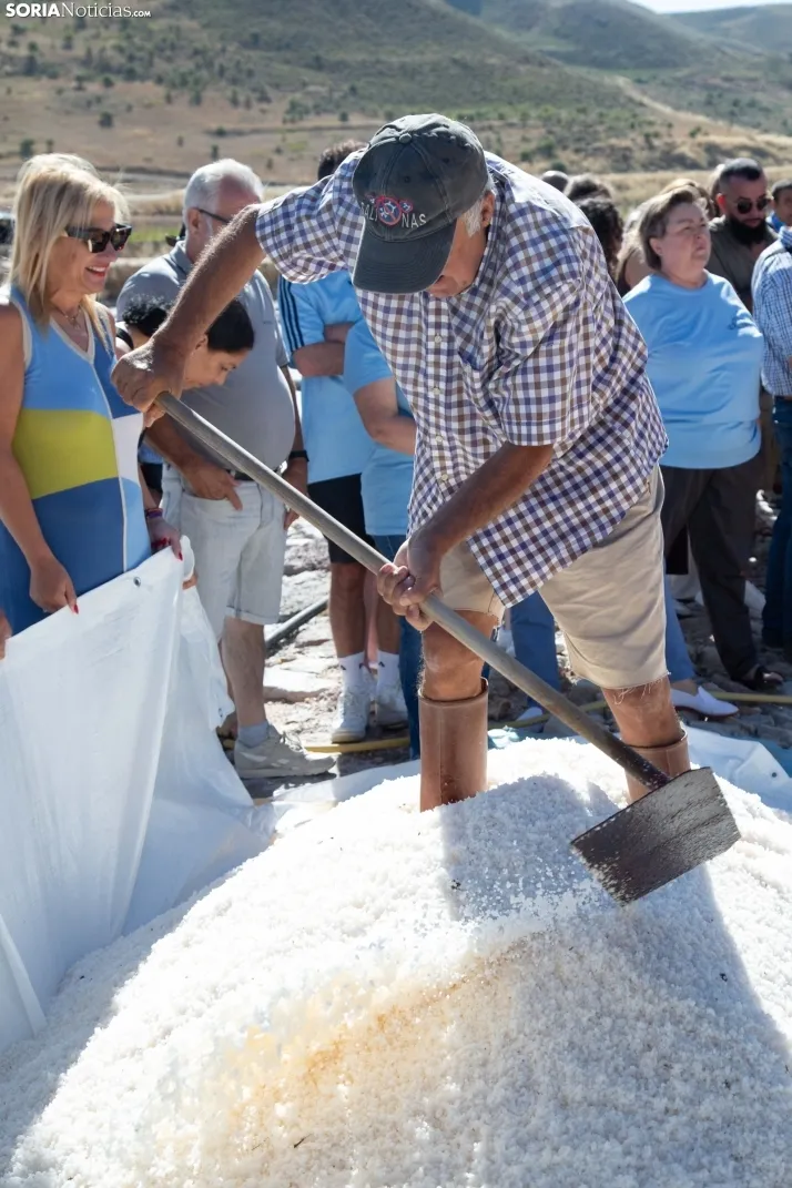 Jornada de la Sal en Salinas de Medinaceli 2025