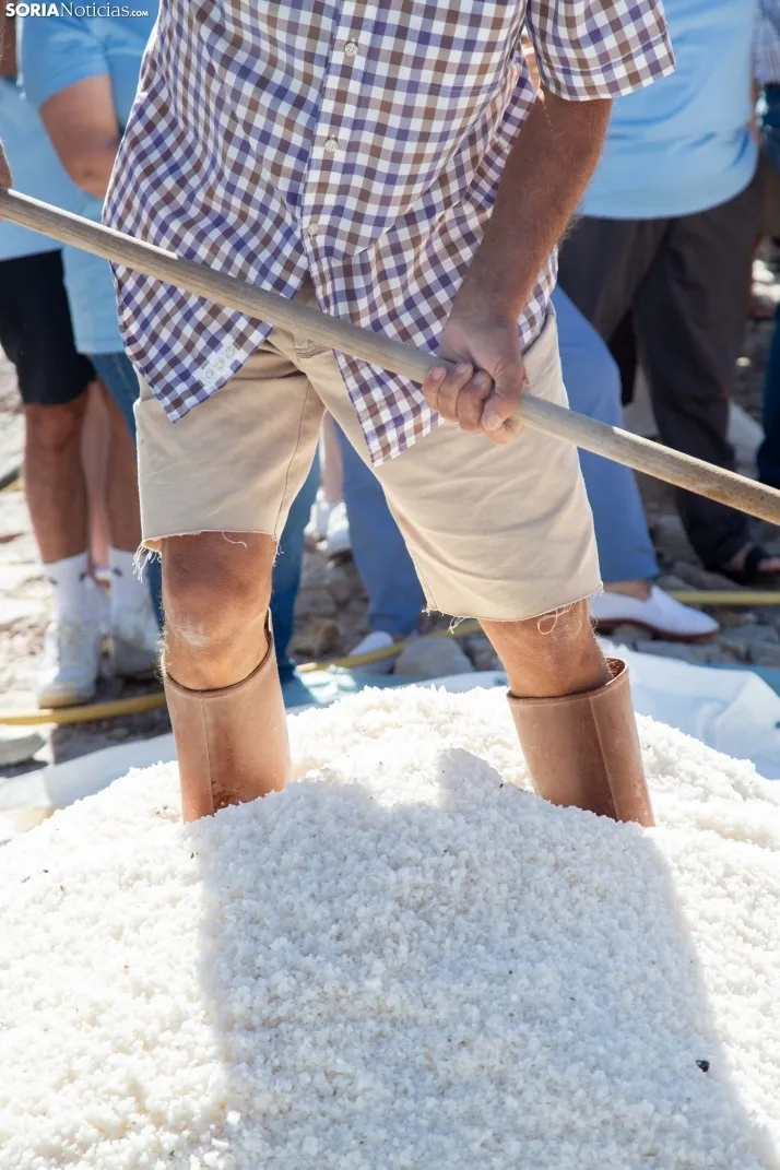 Jornada de la Sal en Salinas de Medinaceli 2025