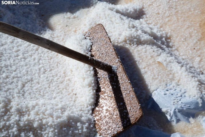 Jornada de la Sal en Salinas de Medinaceli 2025