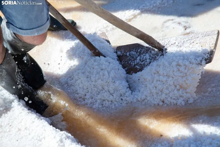 Jornada de la Sal en Salinas de Medinaceli 2025