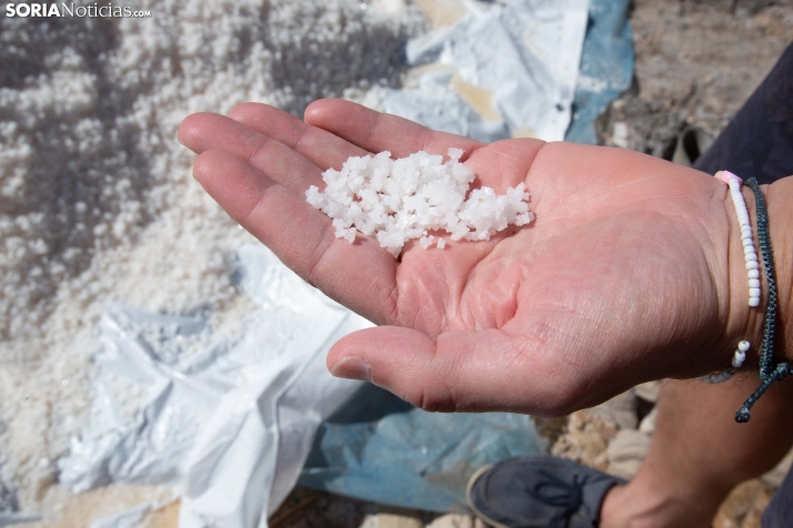 Jornada de la Sal en Salinas de Medinaceli 2025