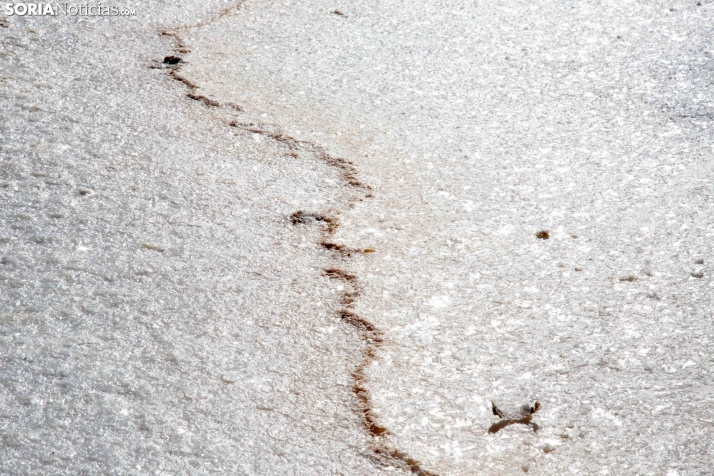 Jornada de la Sal en Salinas de Medinaceli 2025