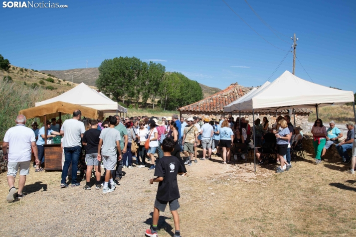 Jornada de la Sal en Salinas de Medinaceli 2025