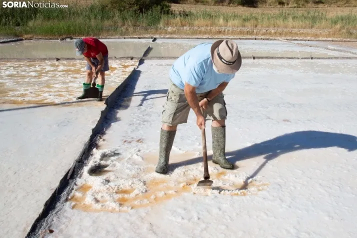Jornada de la Sal en Salinas de Medinaceli 2025