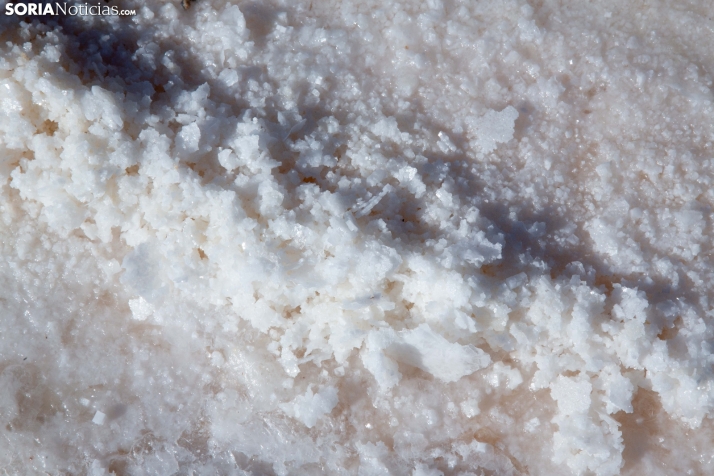 Jornada de la Sal en Salinas de Medinaceli 2025