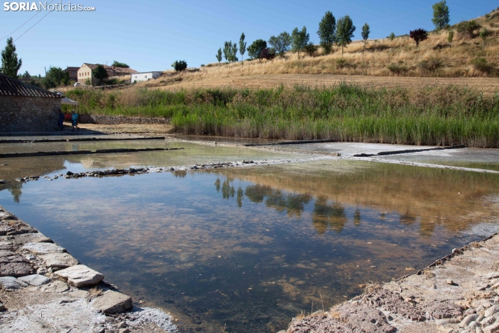 Jornada de la Sal en Salinas de Medinaceli 2025