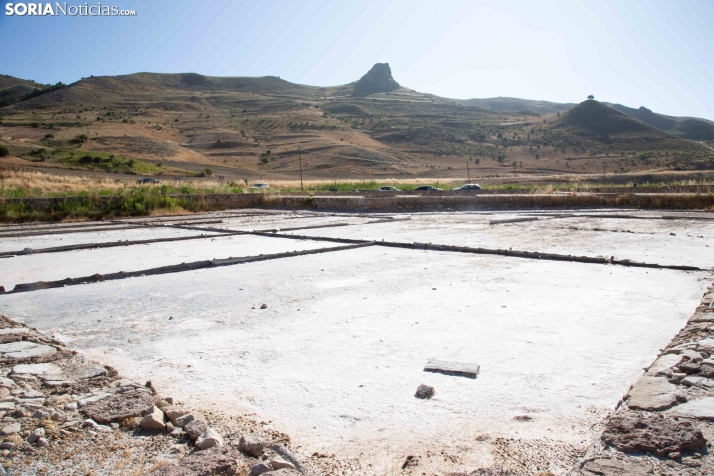 Jornada de la Sal en Salinas de Medinaceli 2025