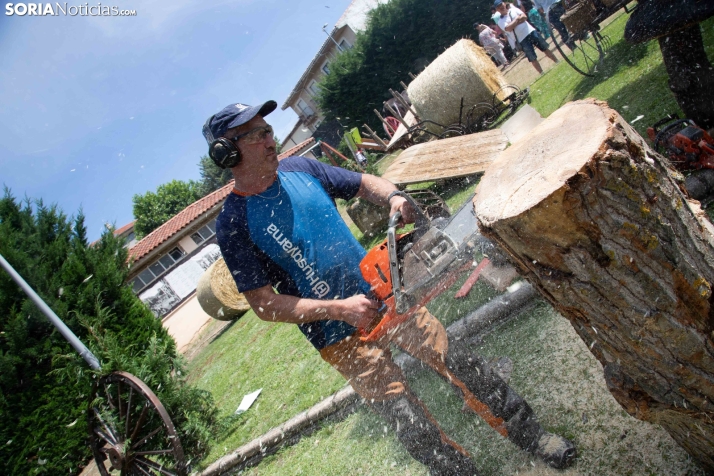 Mercado tradicional de Almarza 2025