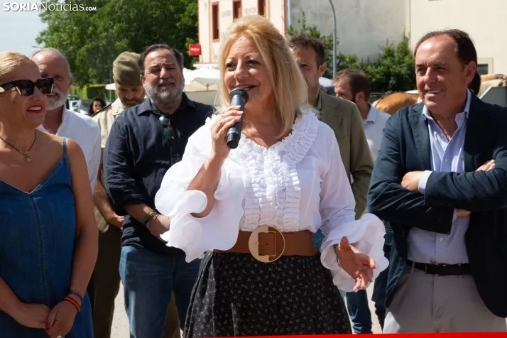 Mercado tradicional de Almarza 2025