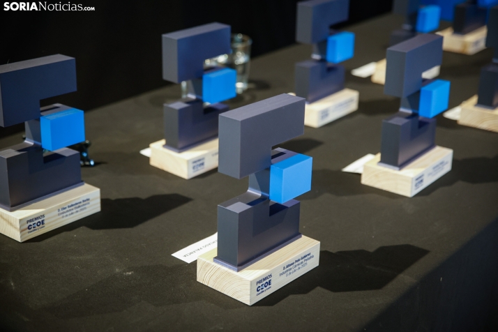 Premios CEOE CYL, entregados en Soria. /MonteseguroFoto