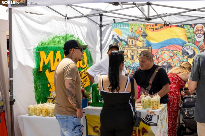 XXIV Jornadas Interculturales de Soria./ Viksar Fotografía