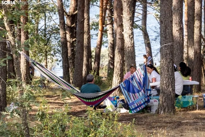 Verano en el pantano 2025./ Viksar Fotografía