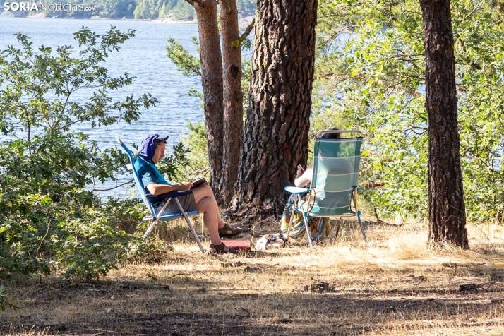 Verano en el pantano 2025./ Viksar Fotografía