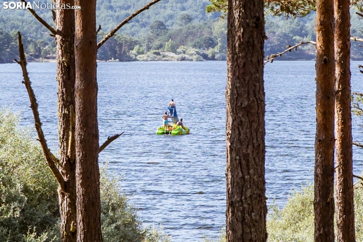Verano en el pantano 2025./ Viksar Fotografía