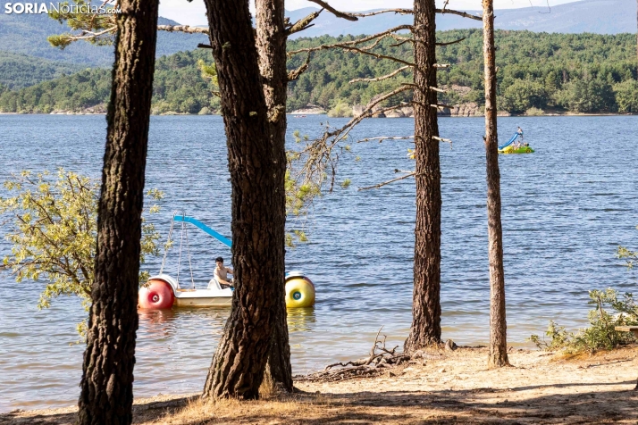 Verano en el pantano 2025./ Viksar Fotografía