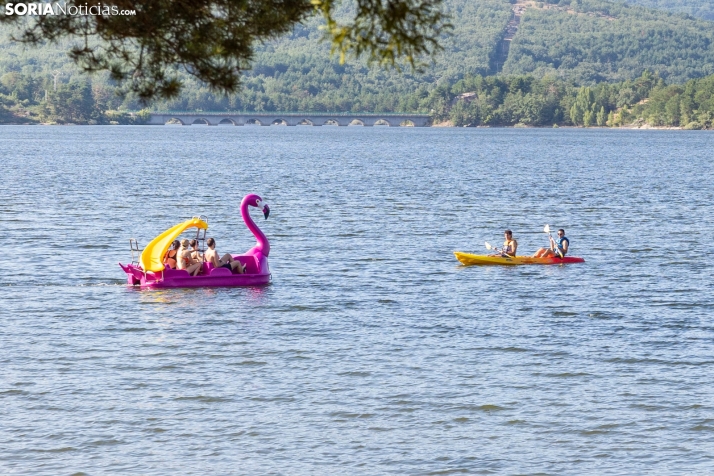 Verano en el pantano 2025./ Viksar Fotografía