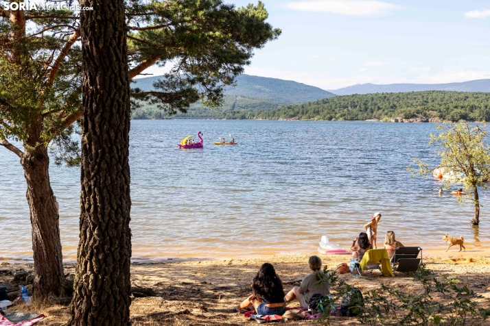 Verano en el pantano 2025./ Viksar Fotografía