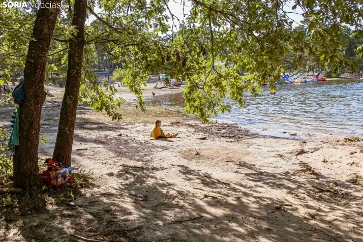 Verano en el pantano 2025./ Viksar Fotografía