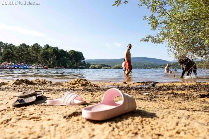 Verano en el pantano 2025./ Viksar Fotografía
