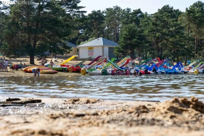 Verano en el pantano 2025./ Viksar Fotografía