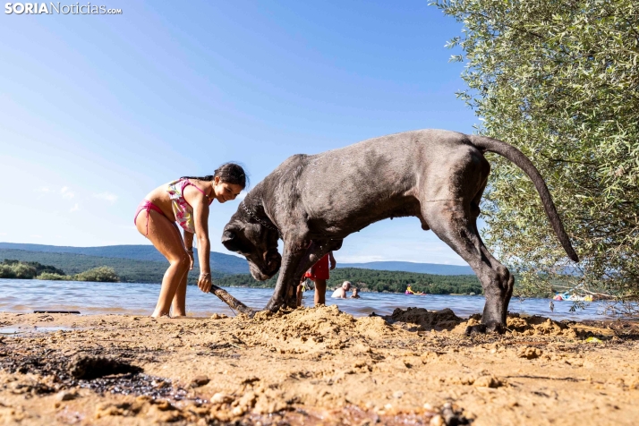 Verano en el pantano 2025./ Viksar Fotografía