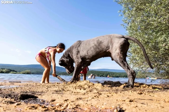 Verano en el pantano 2025./ Viksar Fotografía