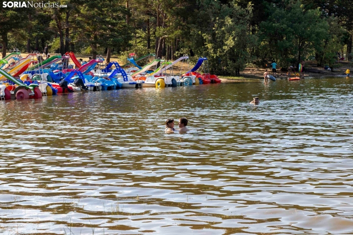 Verano en el pantano 2025./ Viksar Fotografía