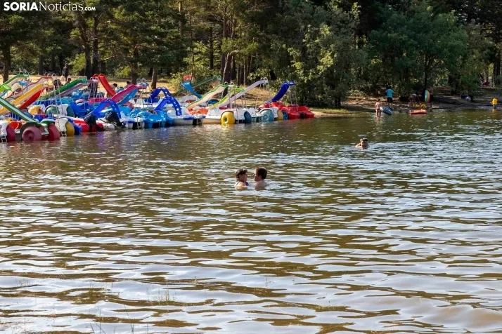 Verano en el pantano 2025./ Viksar Fotografía