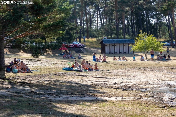 Verano en el pantano 2025./ Viksar Fotografía